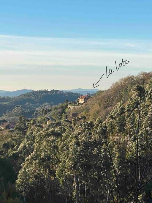 فيلا La Loba - Un Pequeno Paraiso A Tu Alcance Fornelos de Montes المظهر الخارجي الصورة